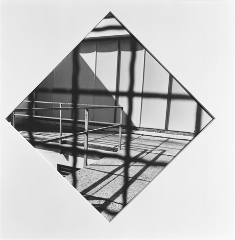 Villa Tugendatt Brno, Pointer Series