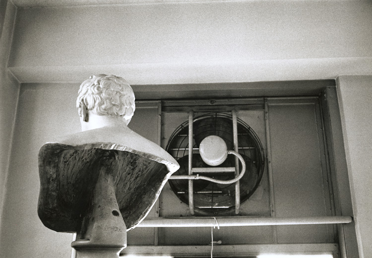 Bust from the Rear