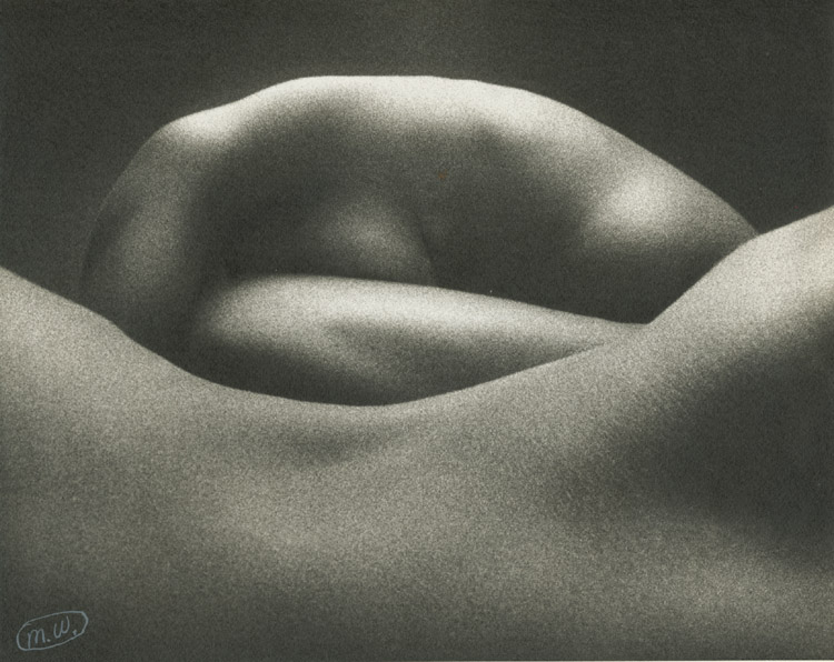 Experimental Nude