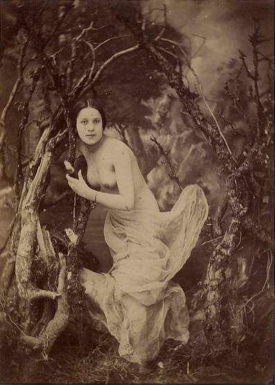 Female Nude in Studio 