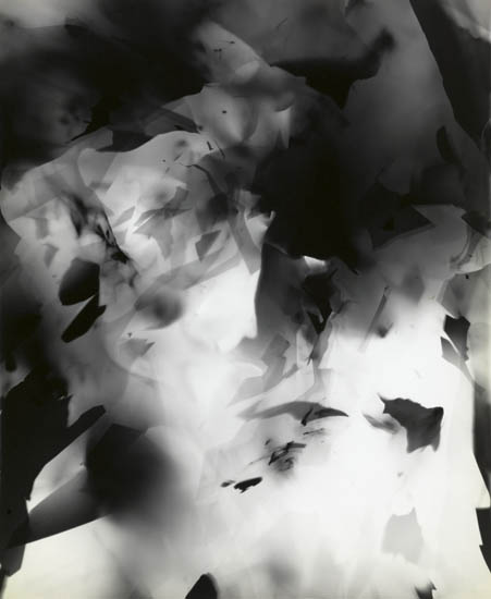 Arthur Siegel - Photogram