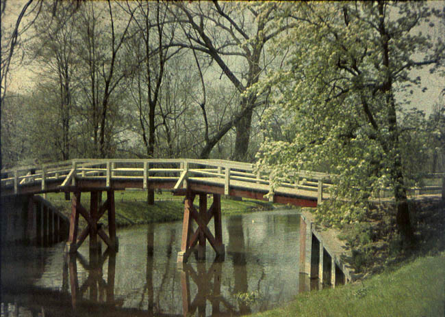 Anonymous - Bridge Anonymous - Bridge