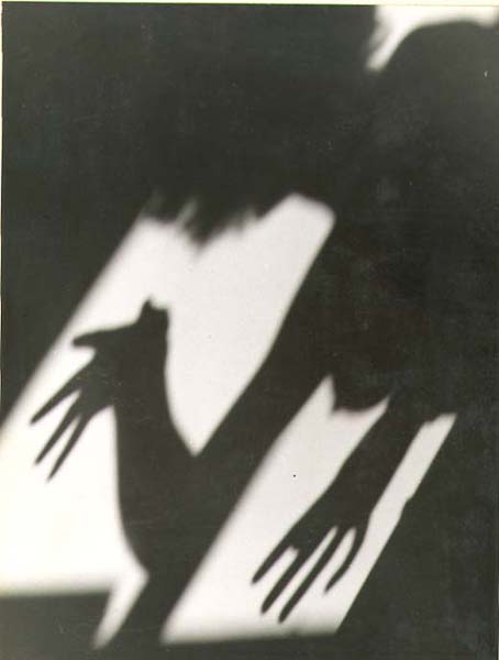 Morning Shadows