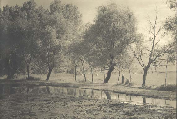 Leonard Misonne - Pasturage