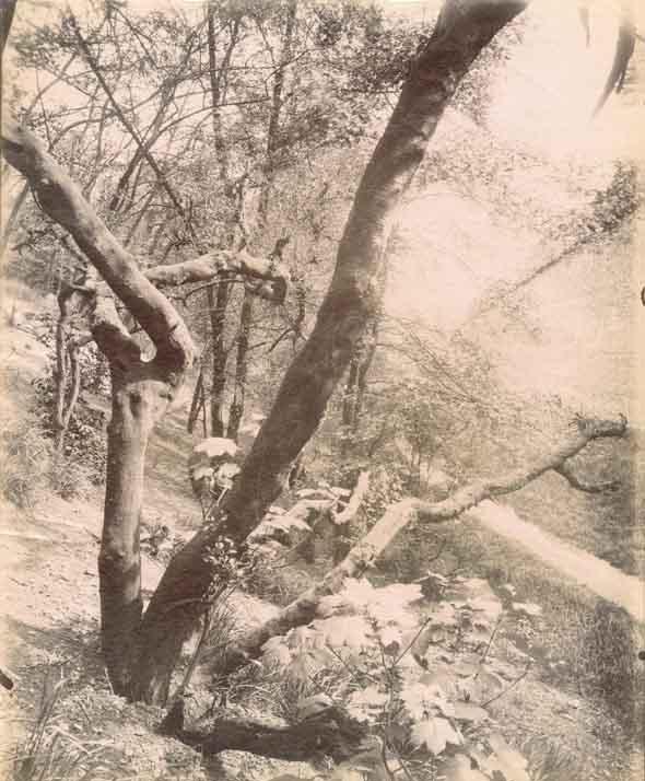 Porte Dauphine, Les Fosses des Fortifications
