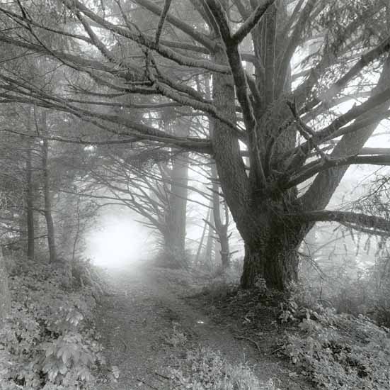 Robert Buelteman - Unseen Peninsula (Signed, Editioned and with Print) Robert Buelteman - Unseen Peninsula (Signed, Editioned and with Print)