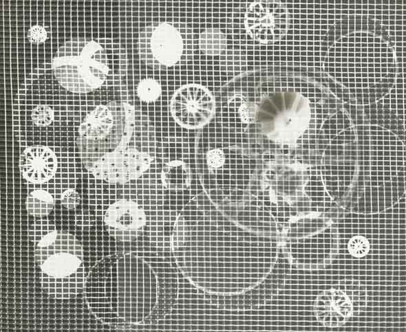 Photogram
