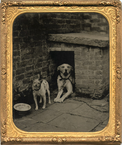 Anonymous - Two Dogs by a Brick Kennel with a Feeding Bowl