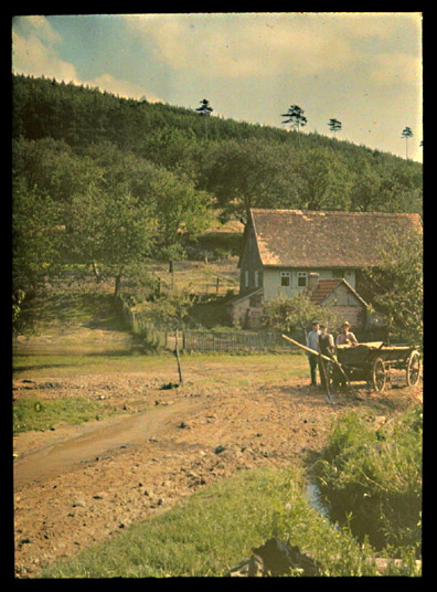 Farm Scene in Germany
