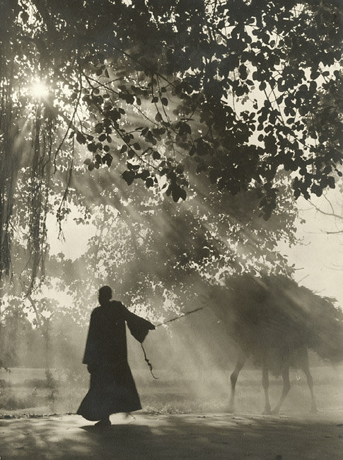 Man with Camel
