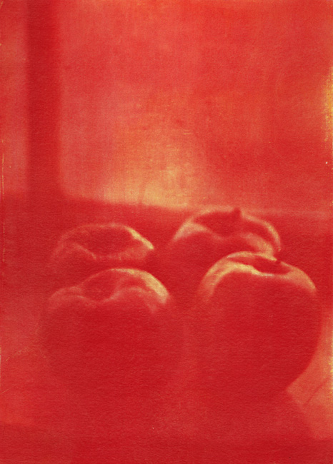 Photo Detail - Ted Jones - Still Life #1 (Apples)