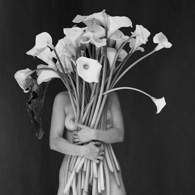 Flor Gardu�o: The Sonnets of Shakespeare