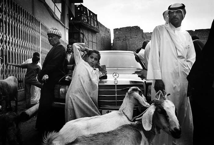 The Friday Market, Bagdad, Iraq