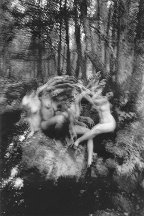 Photo Detail - Michael Philip Manheim - Dancing Dryads (From Rhythm from Within Series)