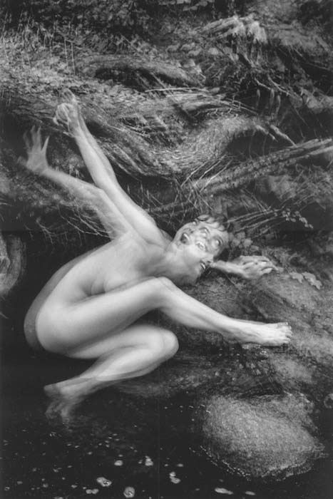Vivante (From Rhythm from Within Series)