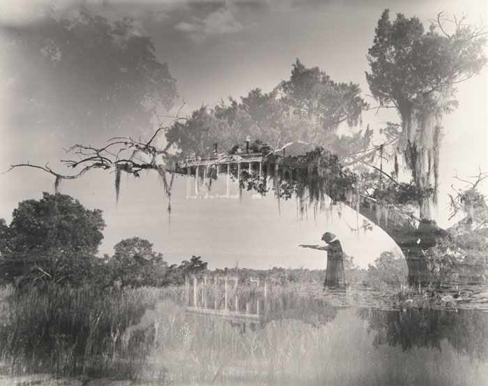 Elegy for Moss Land
