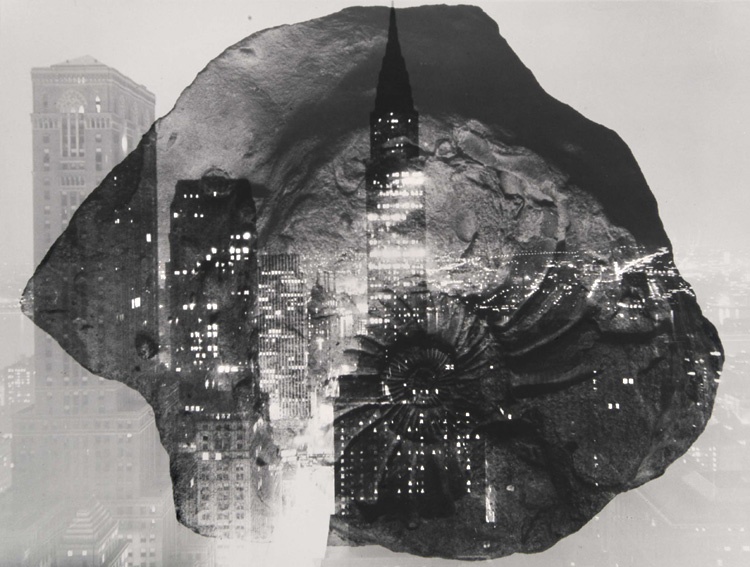 Barbara Morgan - Fossil in Formation