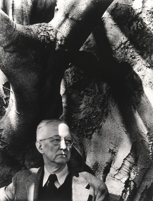 Charles Sheeler and his favorite Beech Tree
