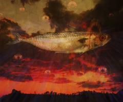 Click for details about Kunin - Holy Mackerel Kunin - Holy Mackerel