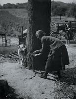 Kertesz - "Do They Play Hide and Seek?" (Girl Ties up Dog to Play)