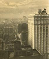 Hogan - City Vista (New York City)