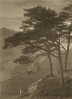 Click for details about Bolton - Pine Trees on Hill Top Bolton - Pine Trees on Hill Top