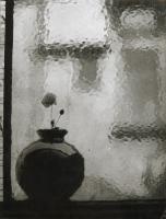 Click for details about Gribovsky - Vase in the Window Gribovsky - Vase in the Window