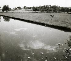 Lartigue - Huguette Sabouret au Ch&acirc;teau des Essarts, Veyvialle, France
