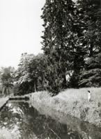 Lartigue - Huguette Sabouret au Ch&acirc;teau des Essarts, Veyvialle, France