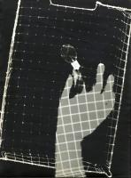 Niedringhaus - Photogram of Hand