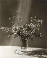 Click to view the Exhibit