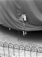 Abad�ic - Horse under Cover (from the Paris Cycle)