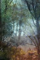Click for details about Holden - Forest (from Series "Constructed Landscapes") Holden - Forest (from Series "Constructed Landscapes")