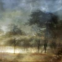 Click for details about Holden - Storm Trees (from Series "Constructed Landscapes") Holden - Storm Trees (from Series "Constructed Landscapes")