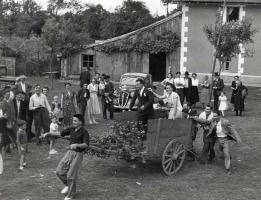 Click for details about Doisneau - The Wedding Cart Doisneau - The Wedding Cart