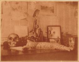 Click for details about Anonymous - Vanities: Cat Stretched out on Desk with Skull, Microscopes, Photographs, Bronze of a Dog and a Glass of Water Anonymous - Vanities: Cat Stretched out on Desk with Skull, Microscopes, Photographs, Bronze of a Dog and a Glass of Water