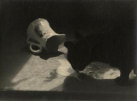 Click for details about Populaire - Spilt Milk Populaire - Spilt Milk