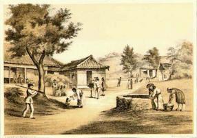 Brown - Perry Expedition to Japan of Photographer with Camera