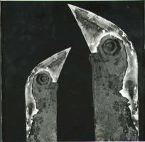 Postupa - Ptaci (Birds)