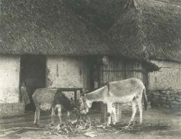 Lewis - A Mexican Scene
