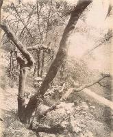 Click for details about Atget - Porte Dauphine, Les Fosses des Fortifications Atget - Porte Dauphine, Les Fosses des Fortifications