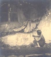 Pikart - Boy Looks at an Espalier Pruned Trellis of Vines