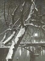 Chanu - Tree Study in Snow along Seine, Paris