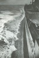 Click for details about Bettle - Luxury Liner Underway Bettle - Luxury Liner Underway
