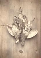 Click for details about S. - Game Birds as Still Life S. - Game Birds as Still Life