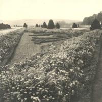 Click for details about Albin-Guillot - Versailles Albin-Guillot - Versailles
