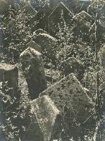 Brok - Jewish Cemetery Tombstones, Prague