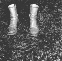 Levinson - Boots