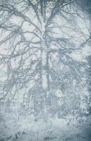 Jones - Virginia Landscape 5 (Tree in Snow)