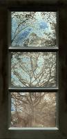 Spagnoli - Tree Study (Tryptic)